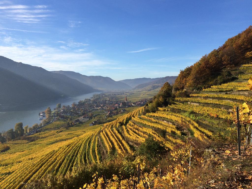 Weingut Langmayer Wösendorf Exterior foto